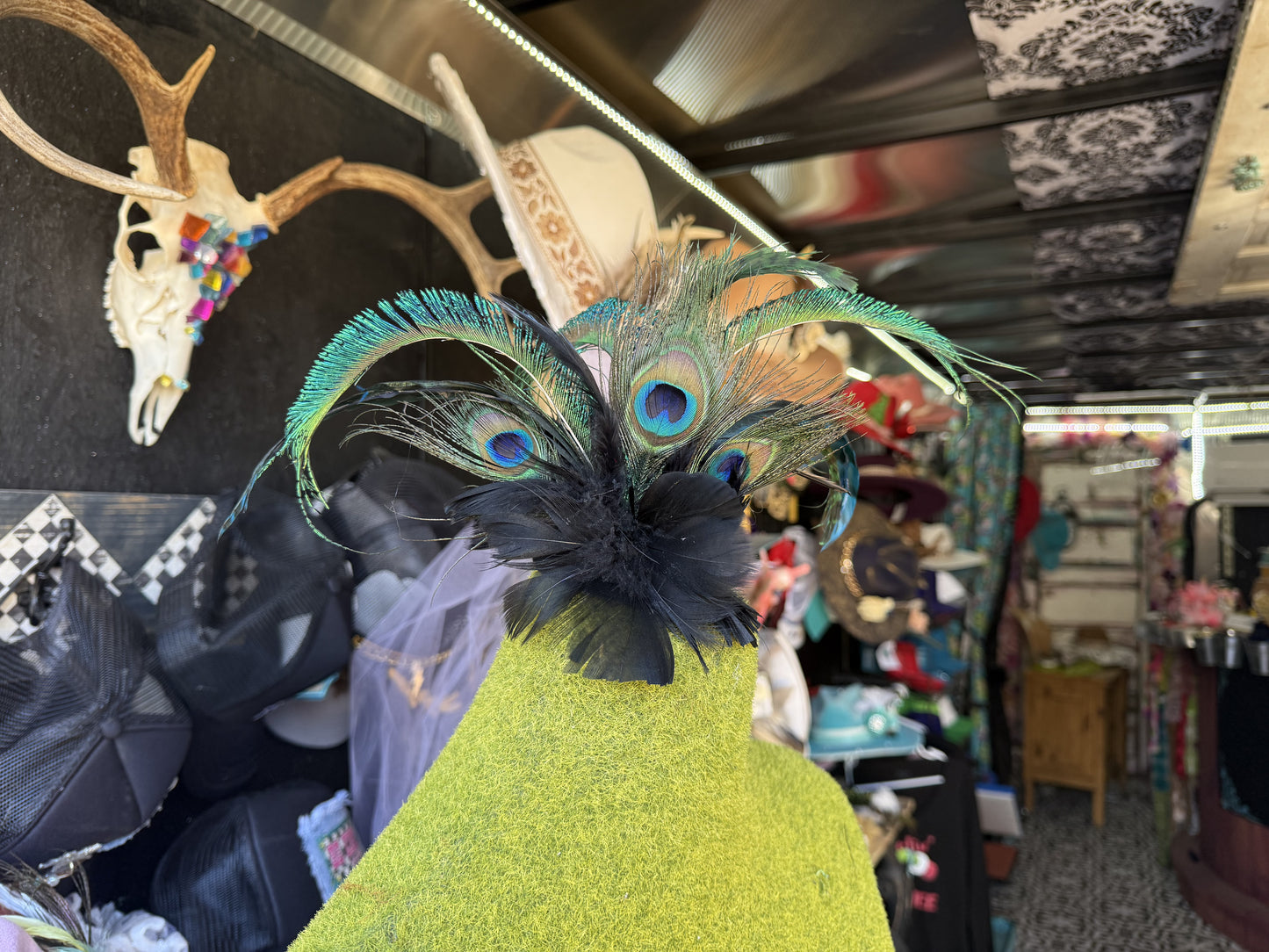 Peacock Derby Hat